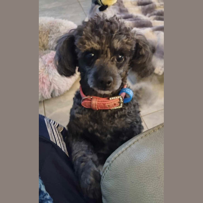 Photo of Star