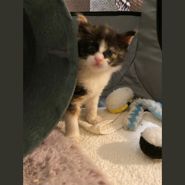 Photo of Hadley Parker