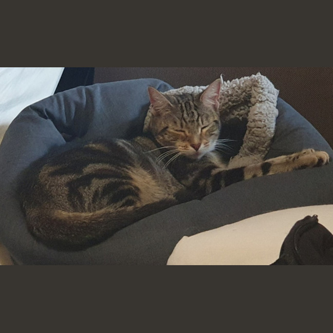 Photo of Quincy