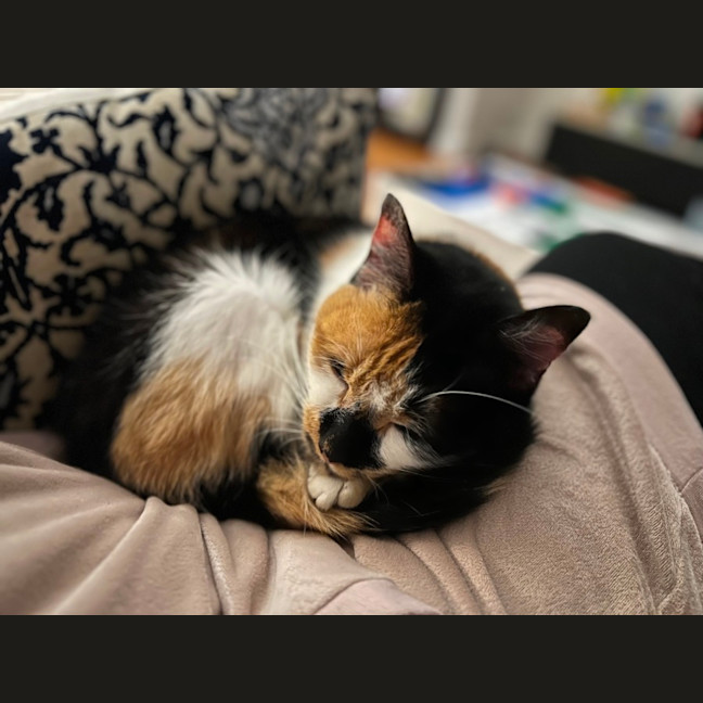 Photo of Sophie