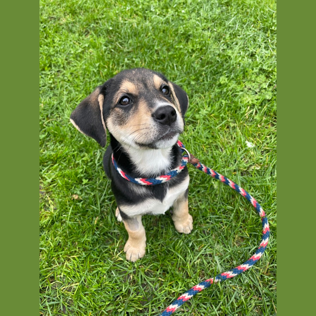 Photo of Jet
