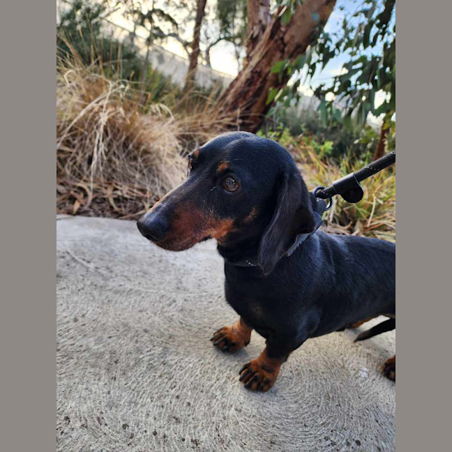 Photo of 🌞 Sonny 6191 🌞