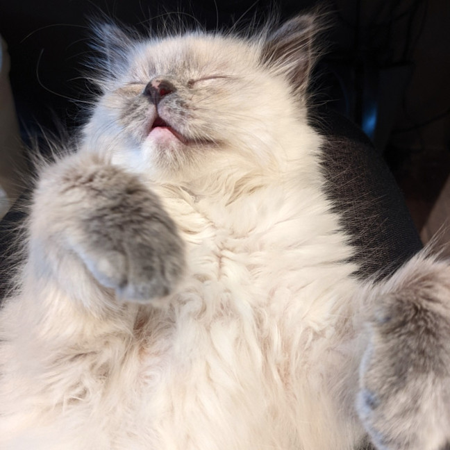 Photo of Tumble