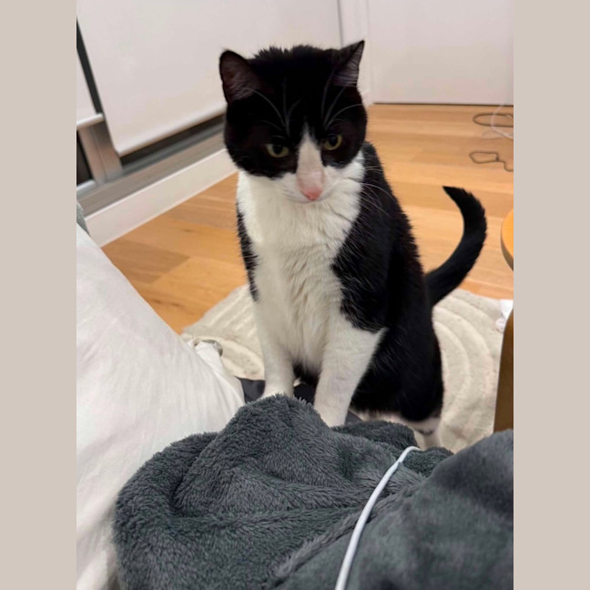 Photo of Charlie   Located In Brunswick West