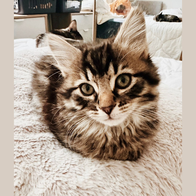 Photo of Riley