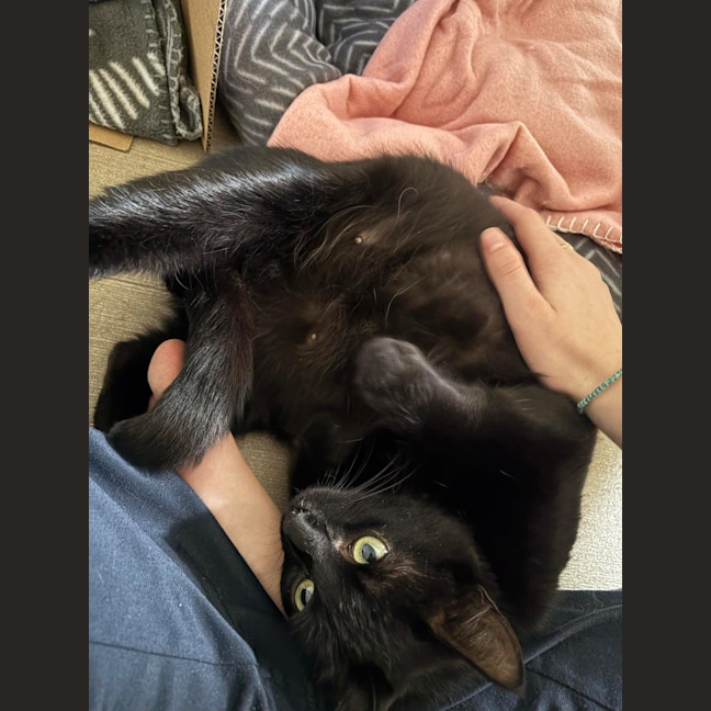 Photo of Cleo