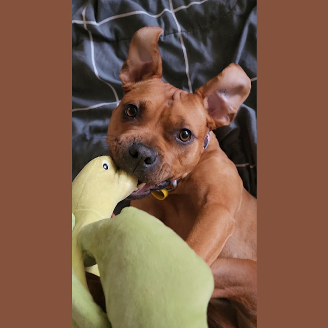 Photo of Maya