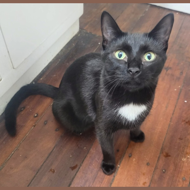 Photo of Kleo