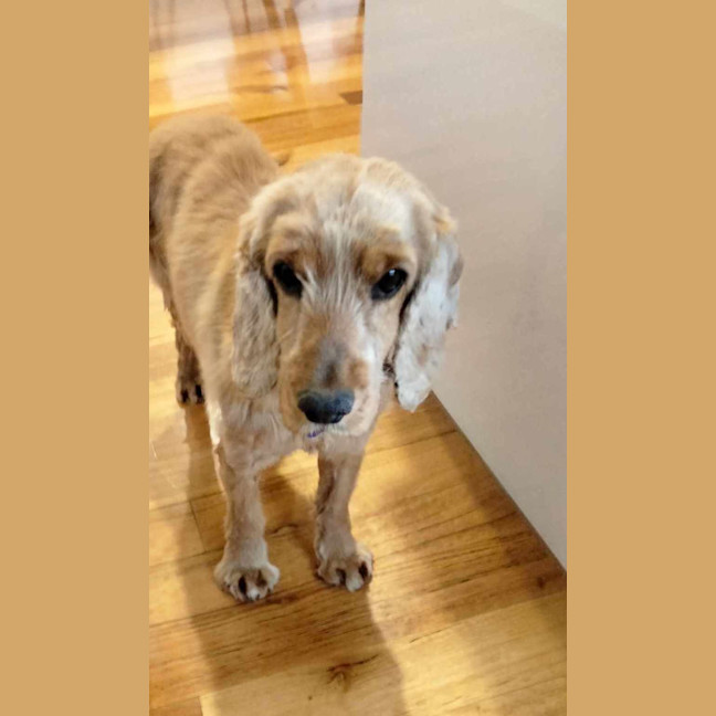 Photo of Mississippi