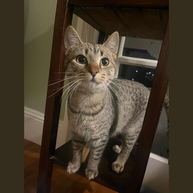 Photo of Oliver