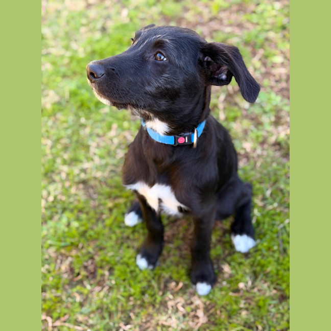 Photo of Wilbur