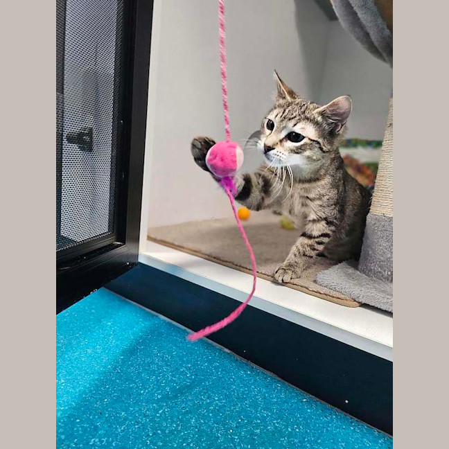 Photo of Little Man