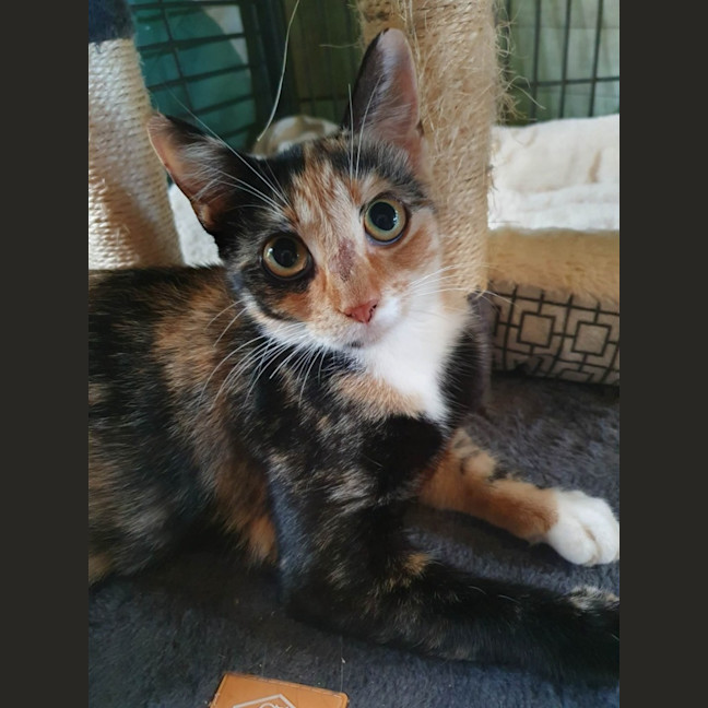 Photo of Lucy
