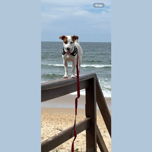 Photo of Winston