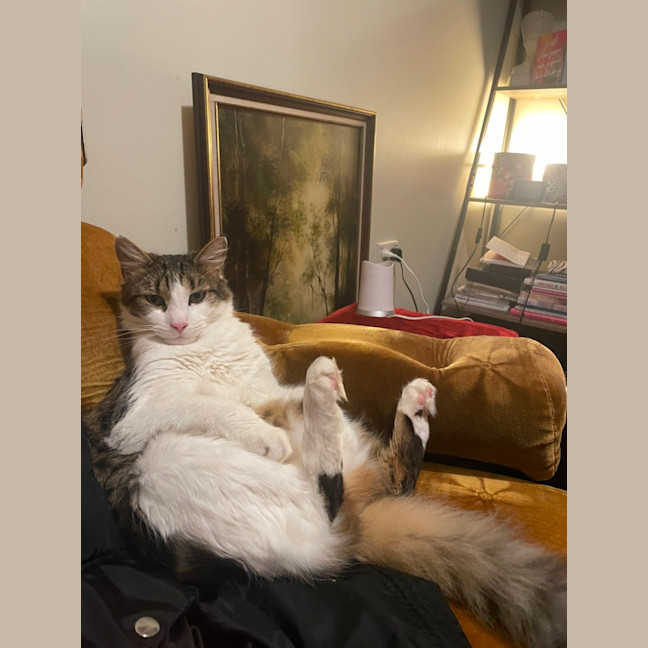 Photo of Ben
