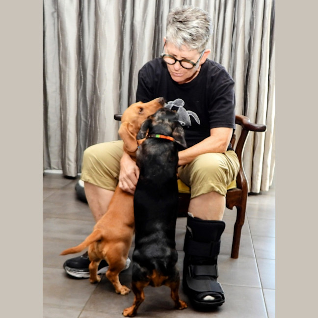 Photo of Rusty (Was Dusty)