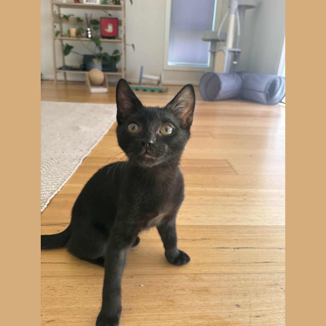 Photo of Hopper 