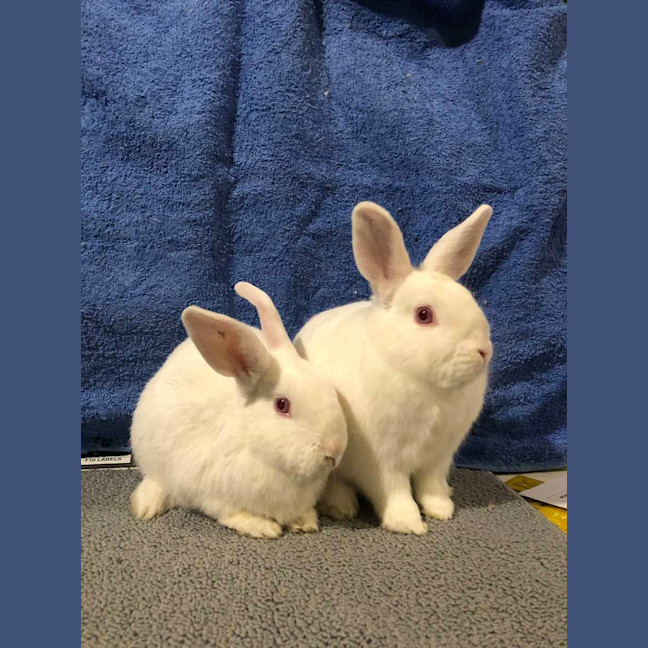 Photo of Alaska & Kenny