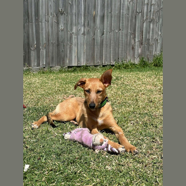 Photo of Reginald