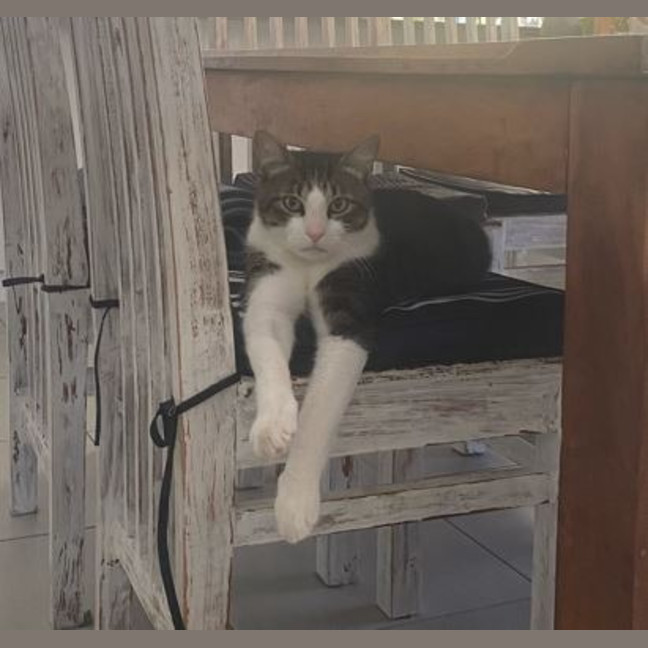 Photo of Monty