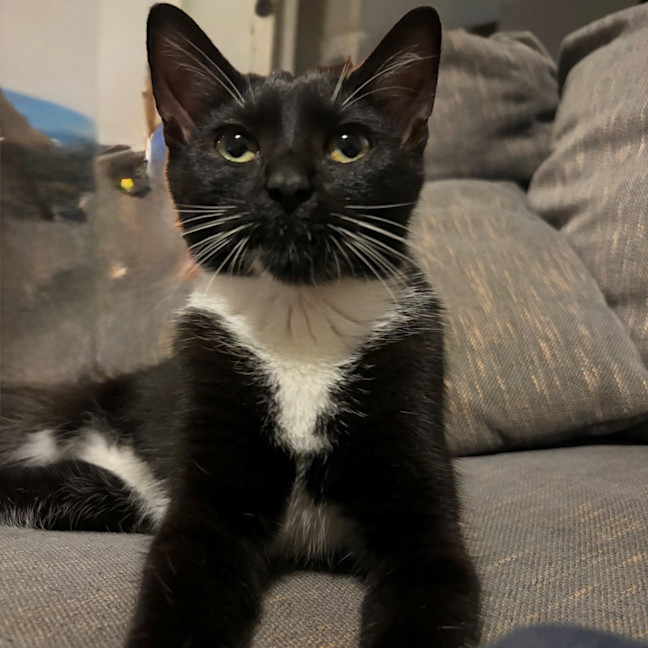 Photo of Arwen