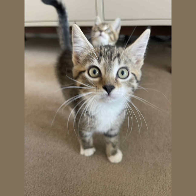 Photo of Oliver And Daisy 