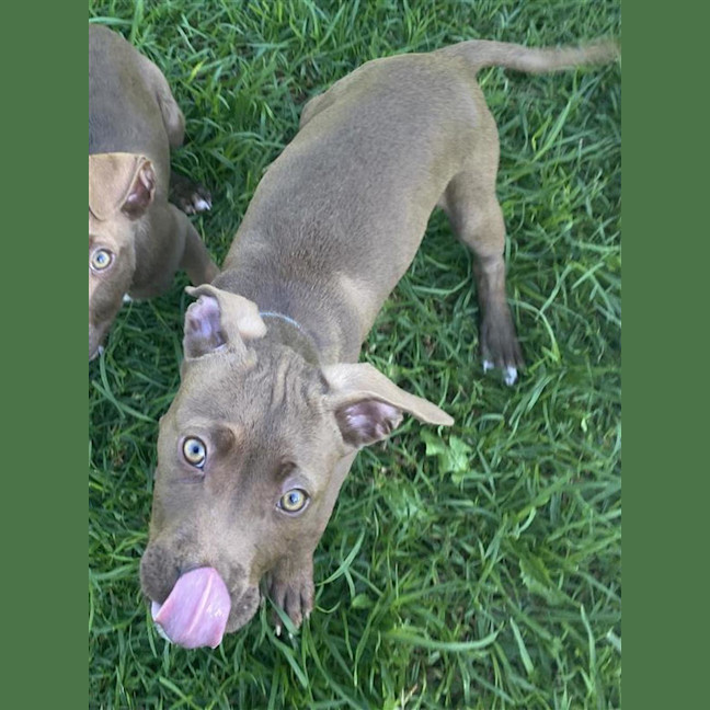Photo of Kimiko (Now Frankie)