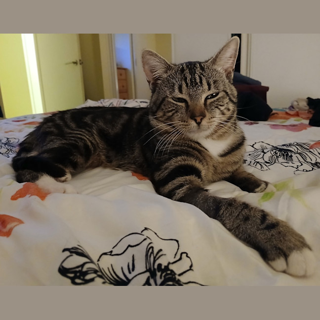 Photo of Ben