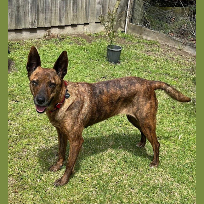 Photo of Swiftee Haliwell