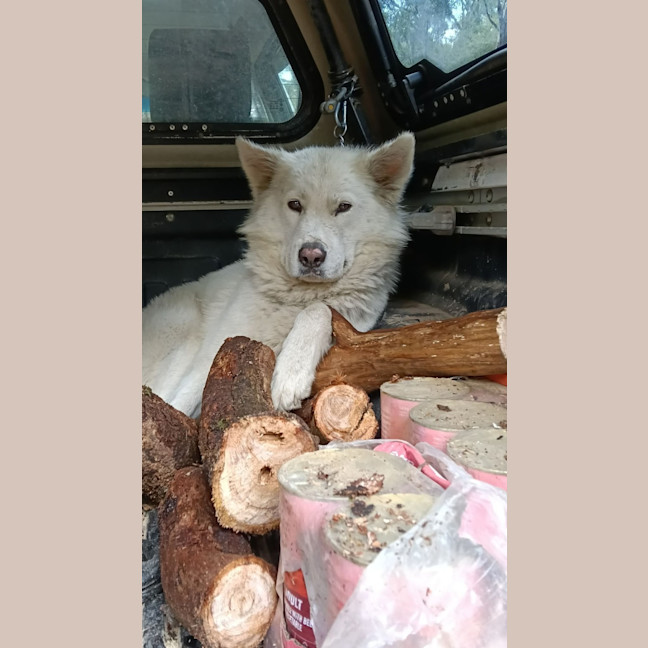 Photo of Holly