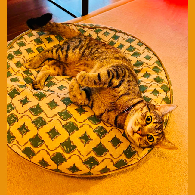 Photo of Ferris & Felix