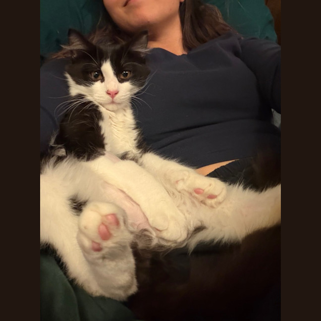 Photo of Hugo