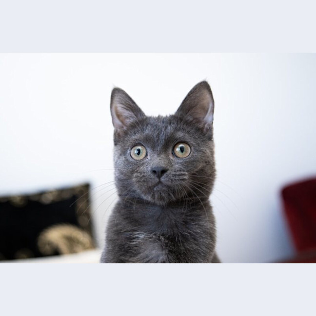 Photo of Baby