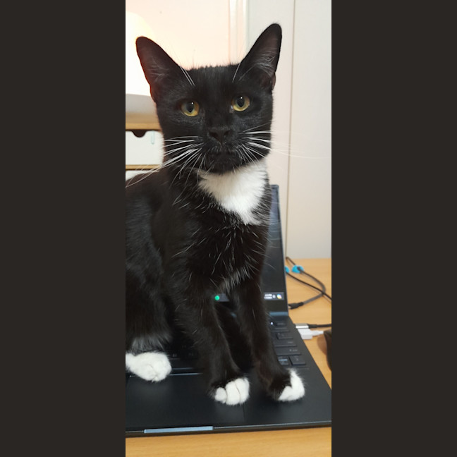 Photo of Bliyz