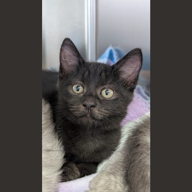 Photo of Tuna