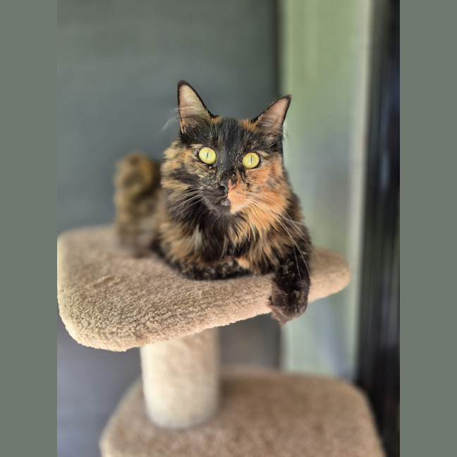 Photo of Sally