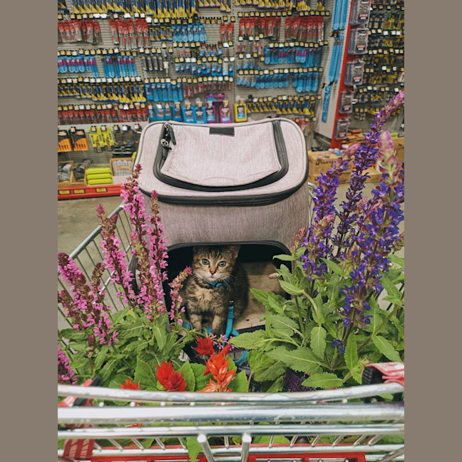 Photo of Holly Bloom