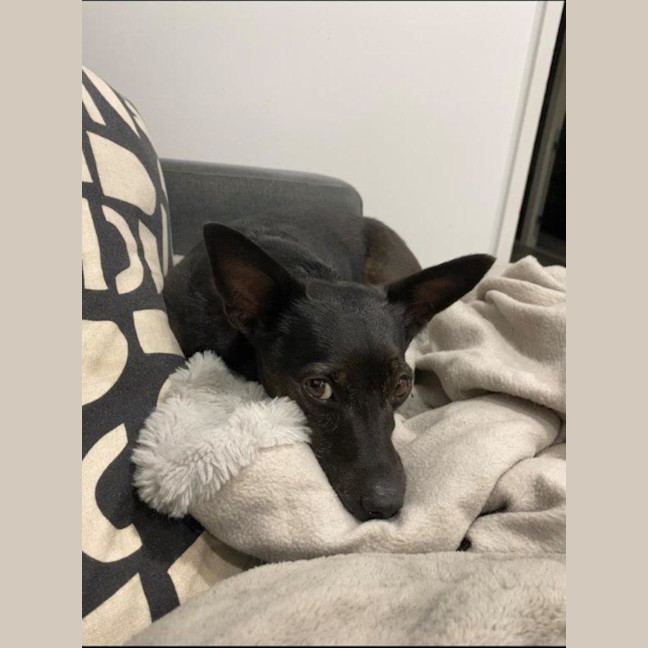 Photo of Basil Moriarty