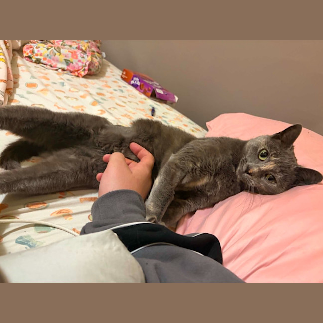 Photo of Luna