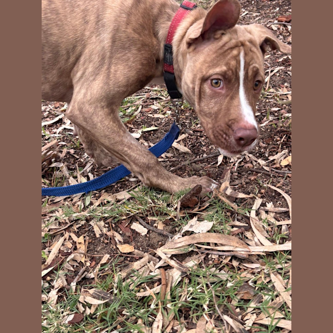 Photo of Clifford