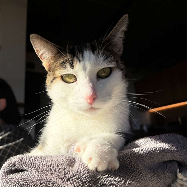 Photo of Elsie