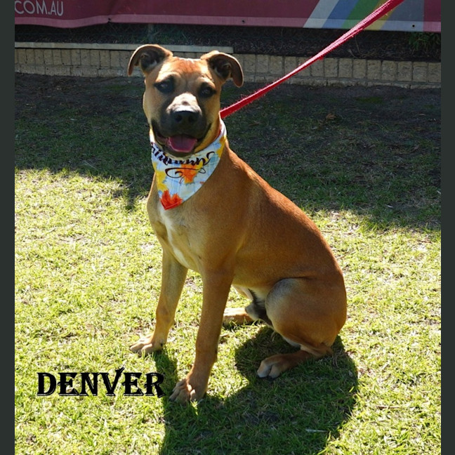 Photo of Denver