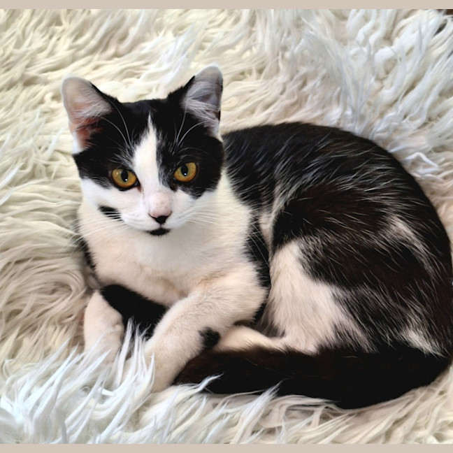 Photo of Isabella