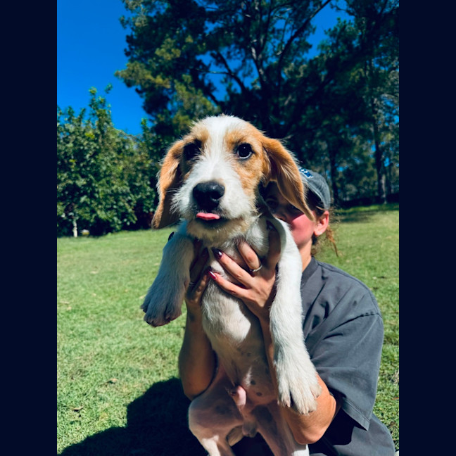 Photo of Daryl Kerrigan