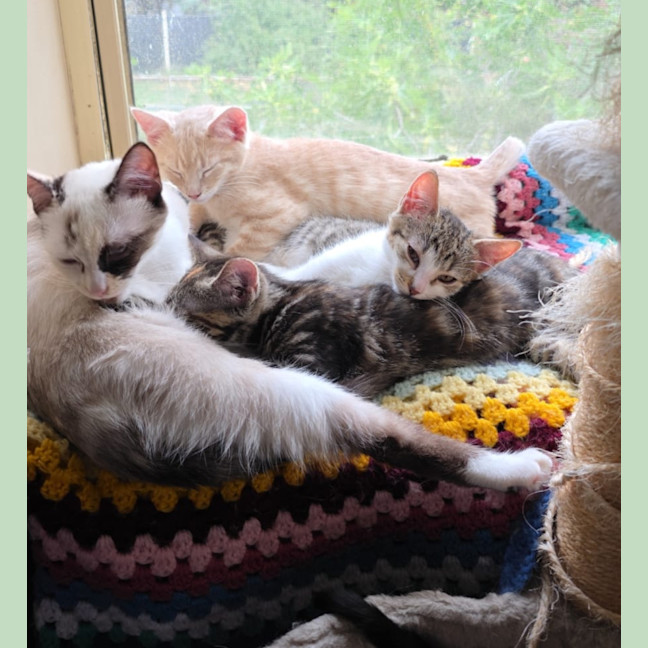 Photo of Dairy Queen