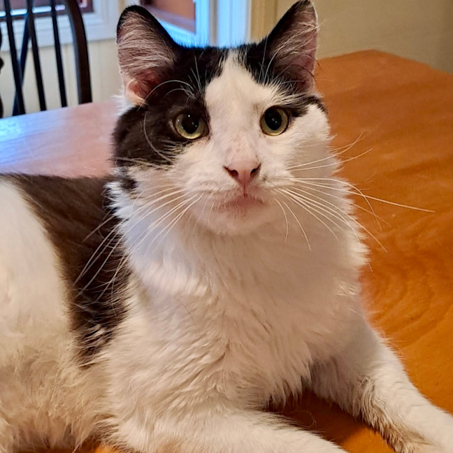 Photo of Alistair