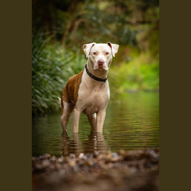 Photo of Odin