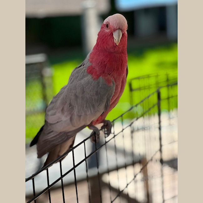 Photo of Sunny