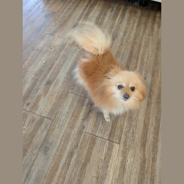 Photo of Betty