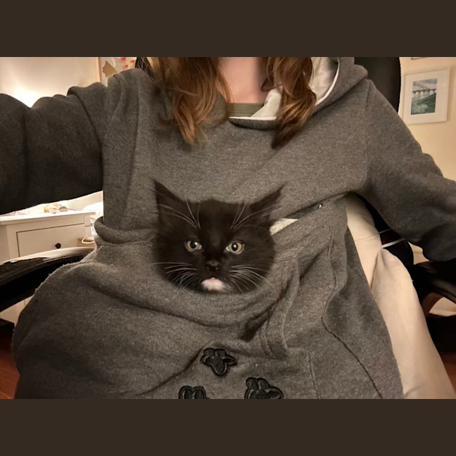 Photo of Theodore   Located In Lower Plenty